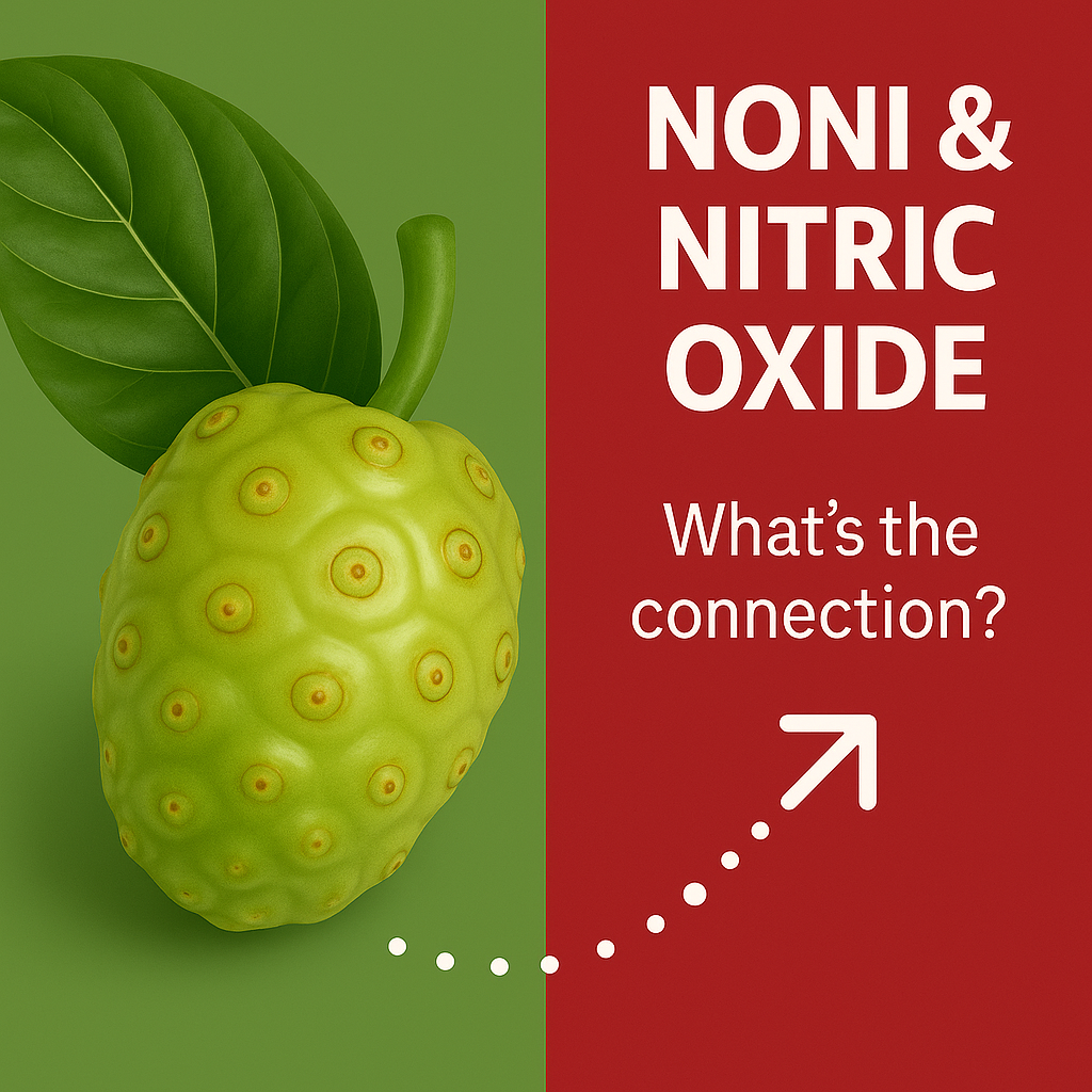 👉 A Simple Addition to Your Lifestyle