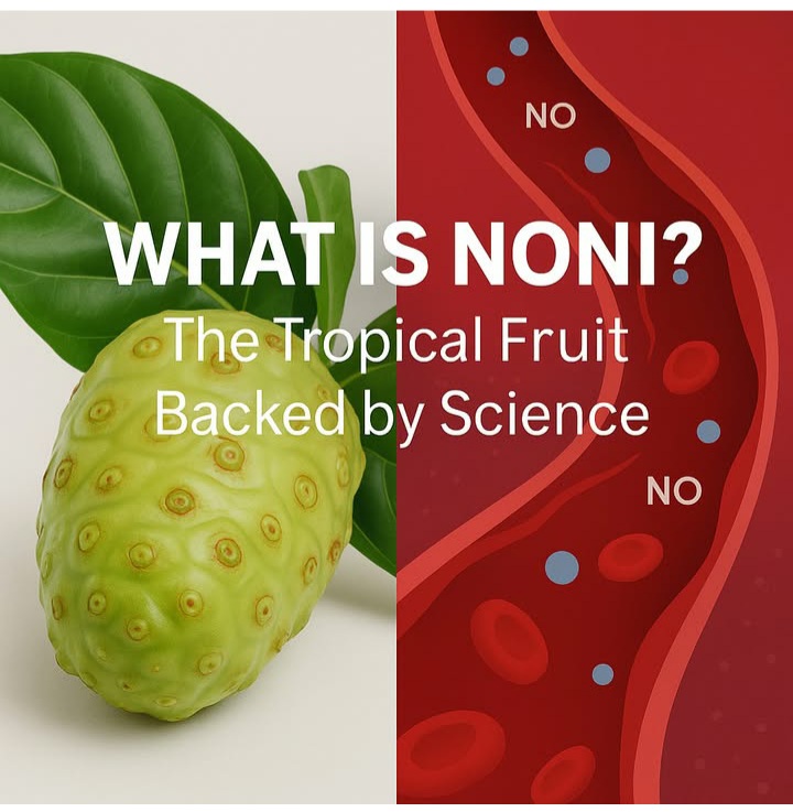 👉 Explore the power of plant-based NO support